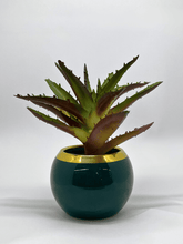 Artificial Aloe Succulent in Glossy Green Ceramic Pot with Gold Rim